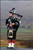 Scottish Piper